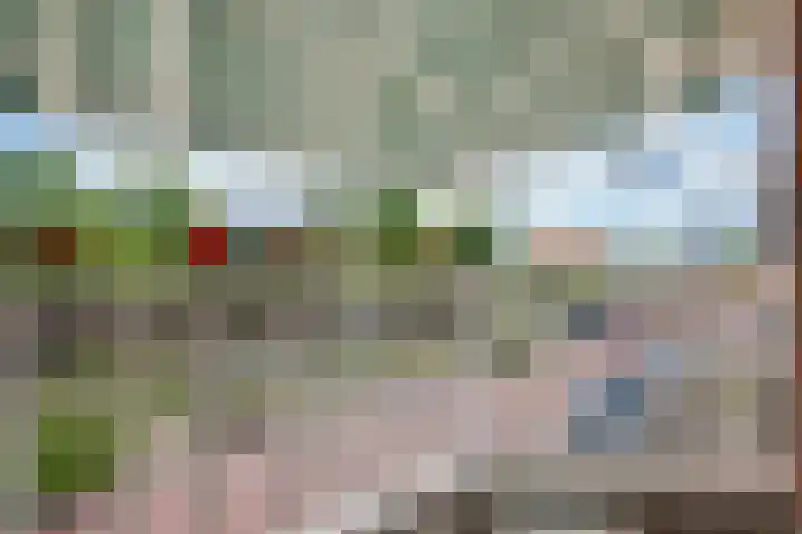 Jaagpad 131 Rijswijk thumbnail 16