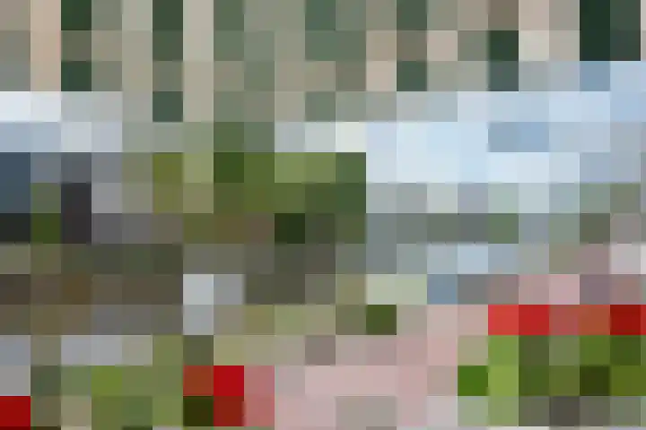 Jaagpad 131 Rijswijk thumbnail 17