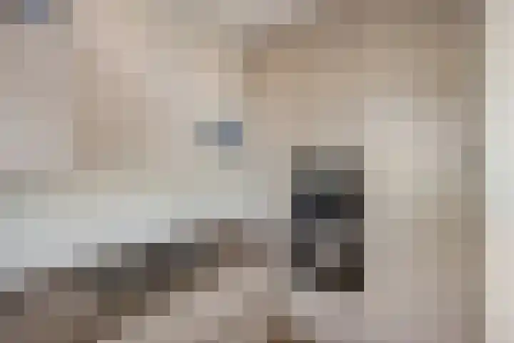 Jaagpad 131 Rijswijk thumbnail 20