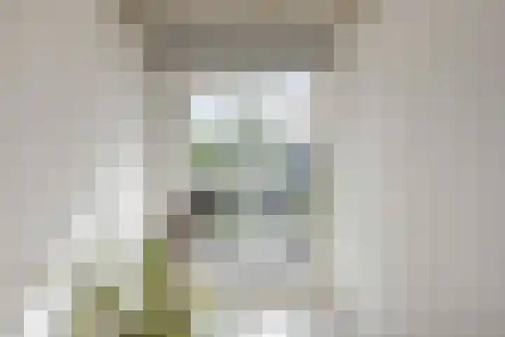 Jaagpad 131 Rijswijk thumbnail 31