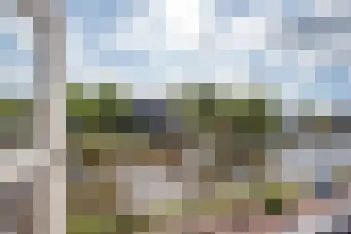 Jaagpad 131 Rijswijk thumbnail 32