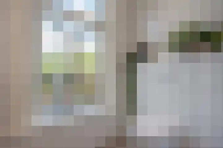Jaagpad 131 Rijswijk thumbnail 37