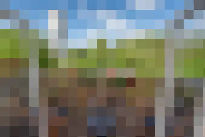 Jaagpad 131 Rijswijk thumbnail 38