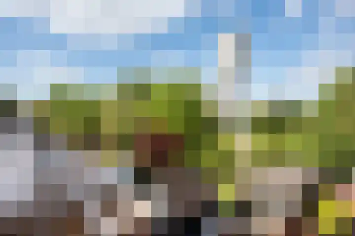 Jaagpad 131 Rijswijk thumbnail 39