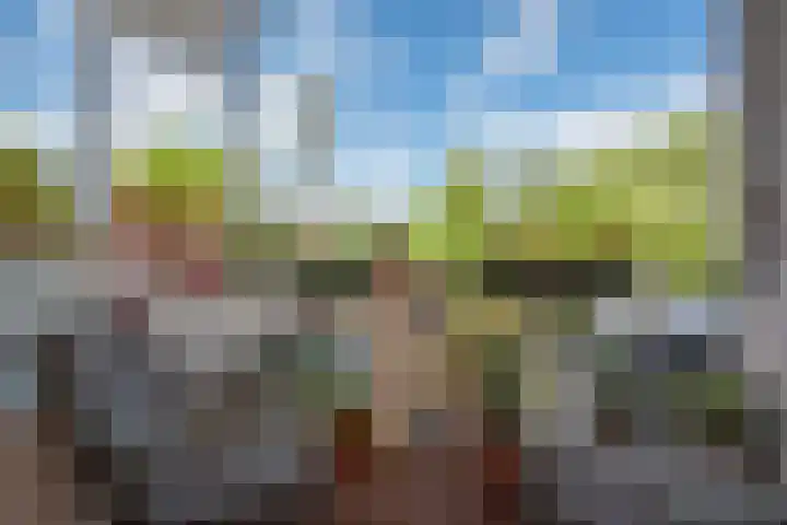 Jaagpad 131 Rijswijk thumbnail 5