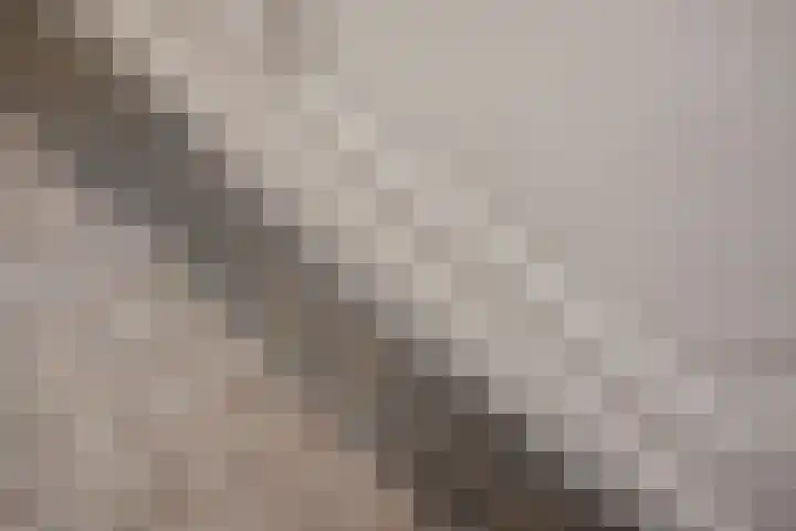 Jaagpad 131 Rijswijk thumbnail 7