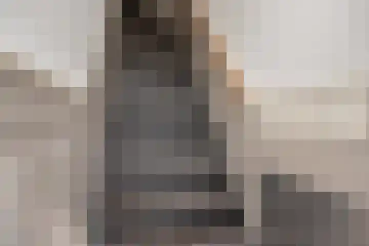 Jaagpad 131 Rijswijk thumbnail 8