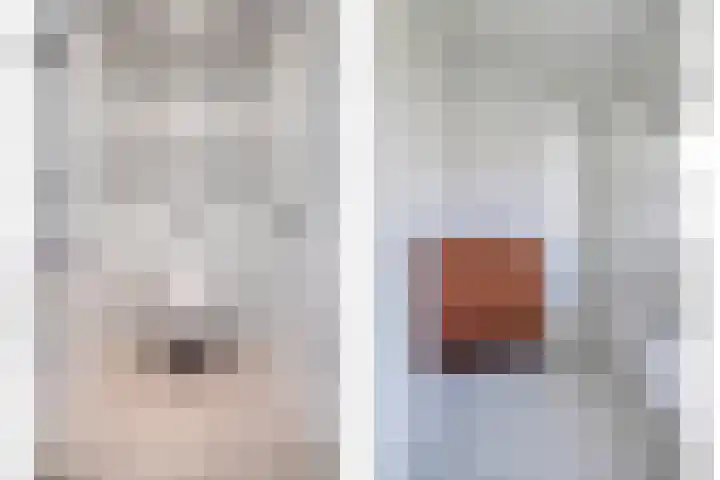 Jaagpad 14 Haastrecht thumbnail 12