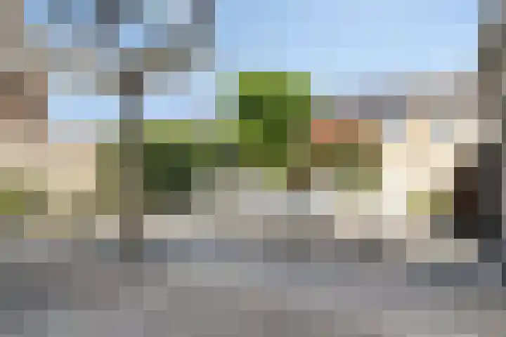 Jaagpad 14 Haastrecht thumbnail 13