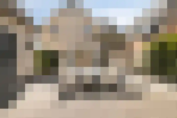 Jaagpad 14 Haastrecht thumbnail 15