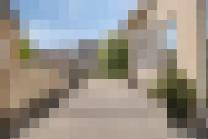Jaagpad 14 Haastrecht thumbnail 16