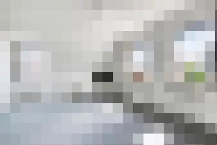 Jaagpad 14 Haastrecht thumbnail 18