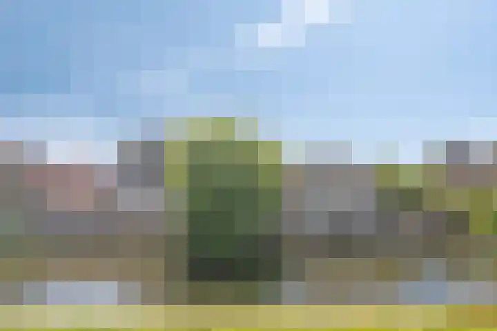 Jaagpad 14 Haastrecht thumbnail 19