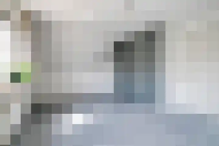 Jaagpad 14 Haastrecht thumbnail 20