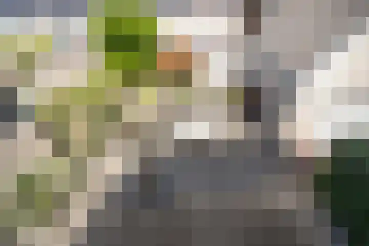 Jaagpad 14 Haastrecht thumbnail 28