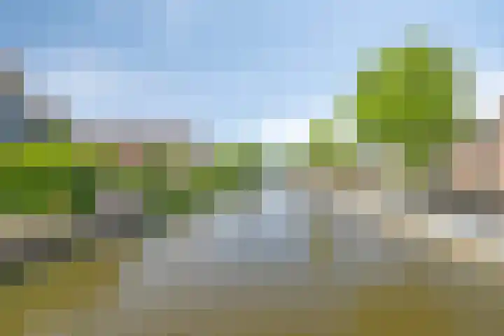 Jaagpad 14 Haastrecht thumbnail 29