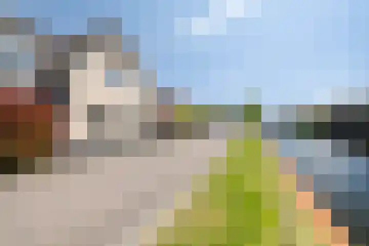 Jaagpad 14 Haastrecht thumbnail 30