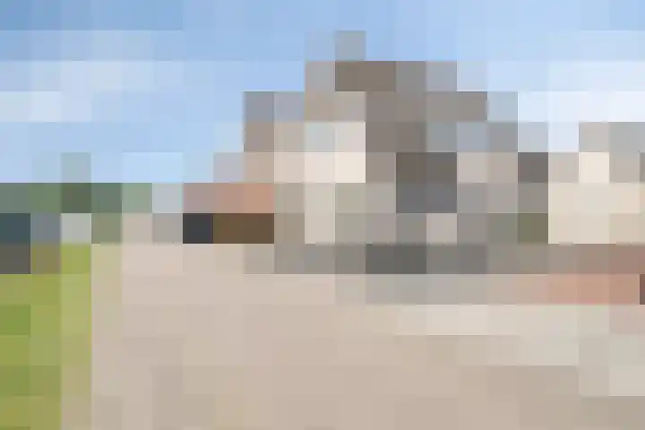 Jaagpad 14 Haastrecht thumbnail 31