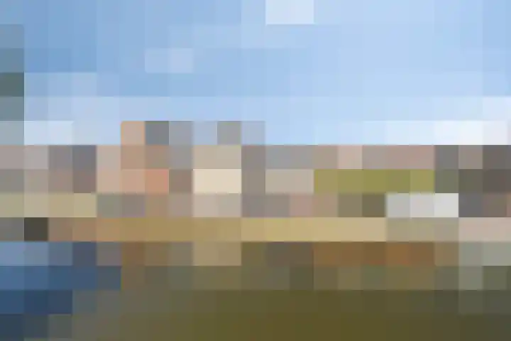 Jaagpad 14 Haastrecht thumbnail 32
