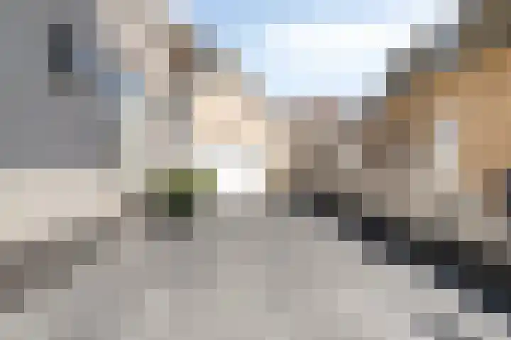 Jaagpad 14 Haastrecht thumbnail 34
