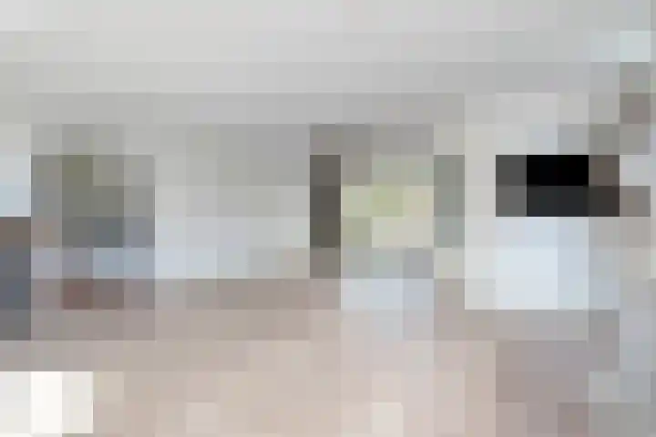 Jaagpad 14 Haastrecht thumbnail 6