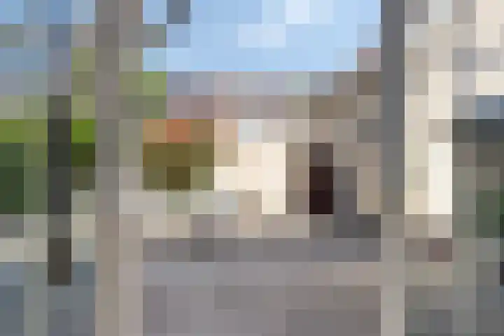 Jaagpad 14 Haastrecht thumbnail 7