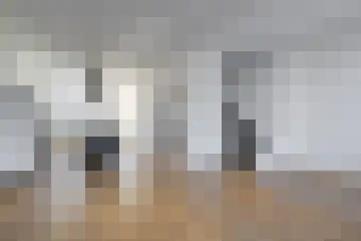 Jaagpad 143 Rijswijk thumbnail 13