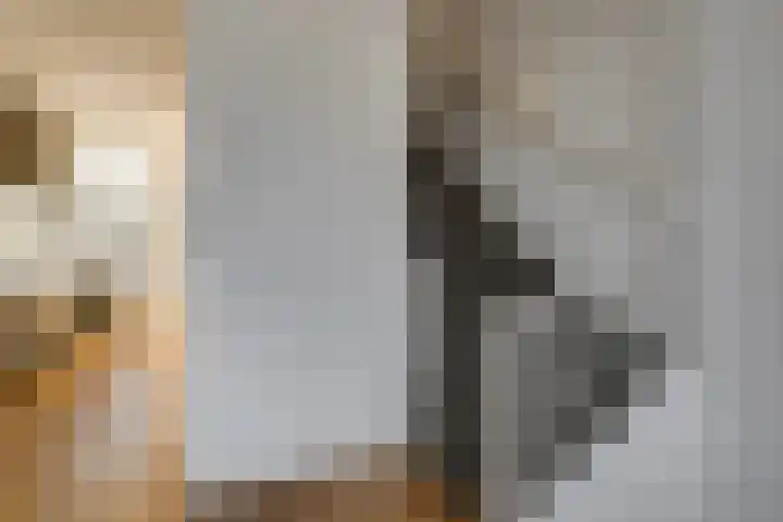 Jaagpad 143 Rijswijk thumbnail 27