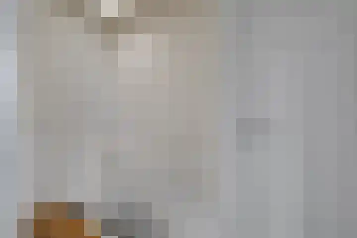 Jaagpad 143 Rijswijk thumbnail 29