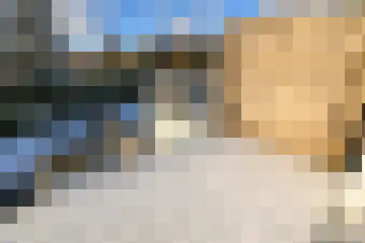 Jaagpad 143 Rijswijk thumbnail 36