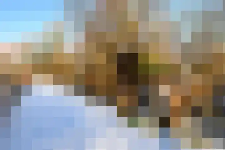 Jaagpad 143 Rijswijk thumbnail 55