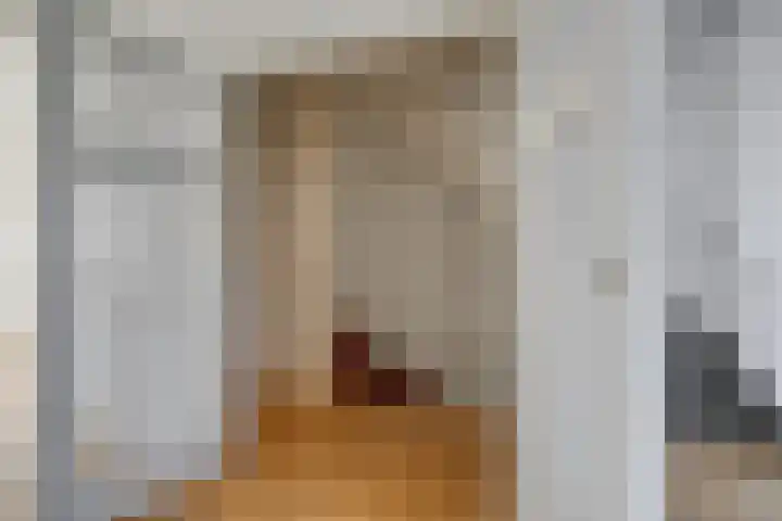 Jaagpad 143 Rijswijk thumbnail 6