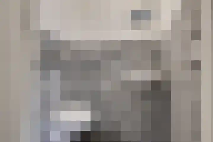 Jaagpad 143 Rijswijk thumbnail 7