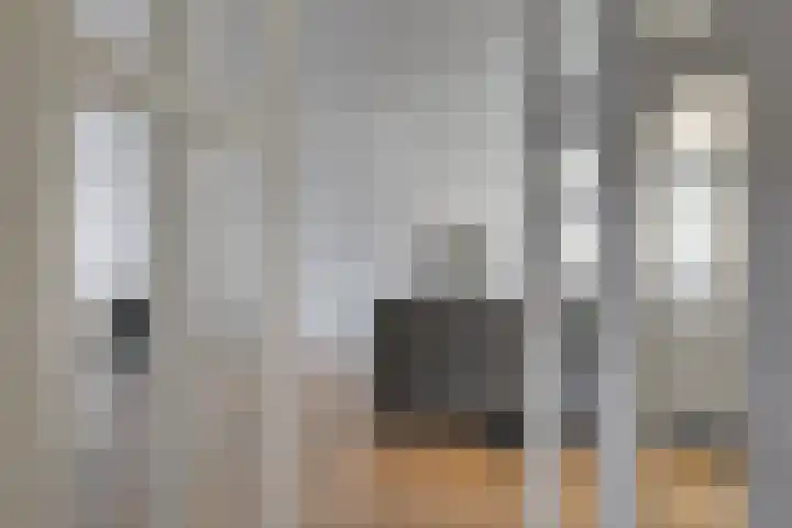 Jaagpad 143 Rijswijk thumbnail 8