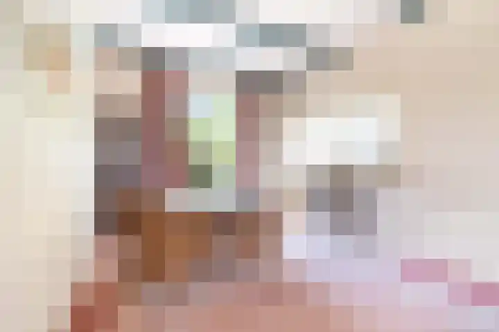 Jaagpad 149 Rijswijk thumbnail 11