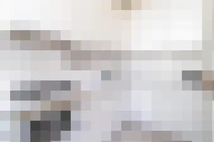 Jaagpad 149 Rijswijk thumbnail 15