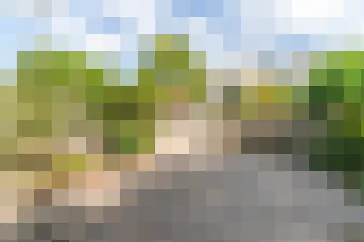 Jaagpad 149 Rijswijk thumbnail 16