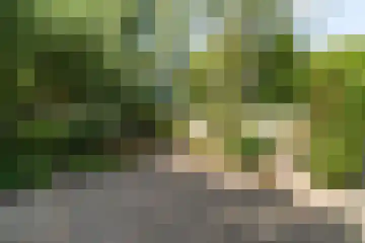Jaagpad 149 Rijswijk thumbnail 17