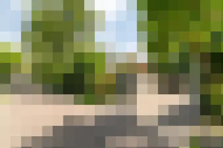 Jaagpad 149 Rijswijk thumbnail 18