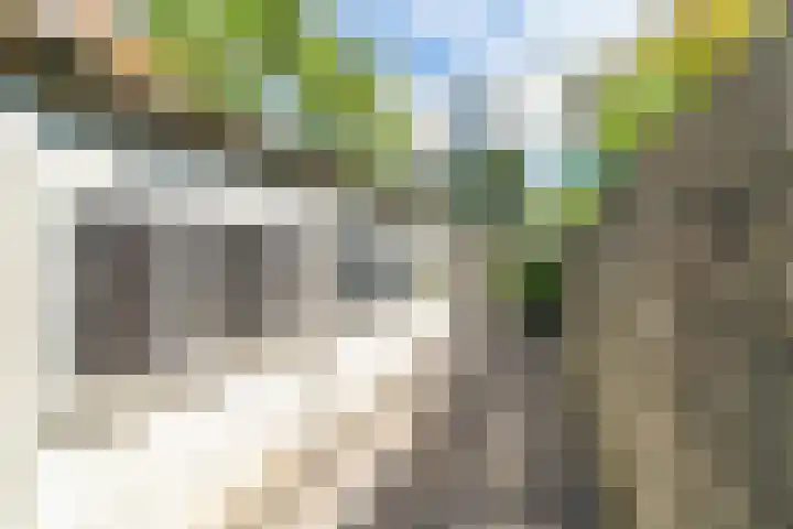 Jaagpad 149 Rijswijk thumbnail 19