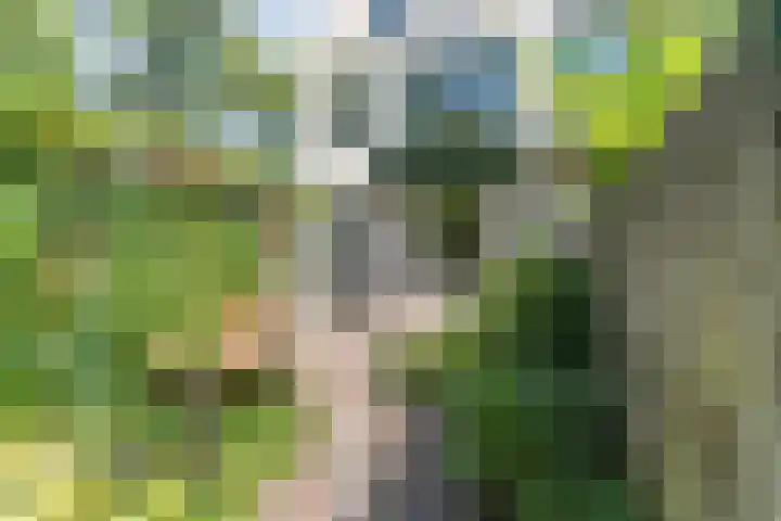 Jaagpad 149 Rijswijk thumbnail 20