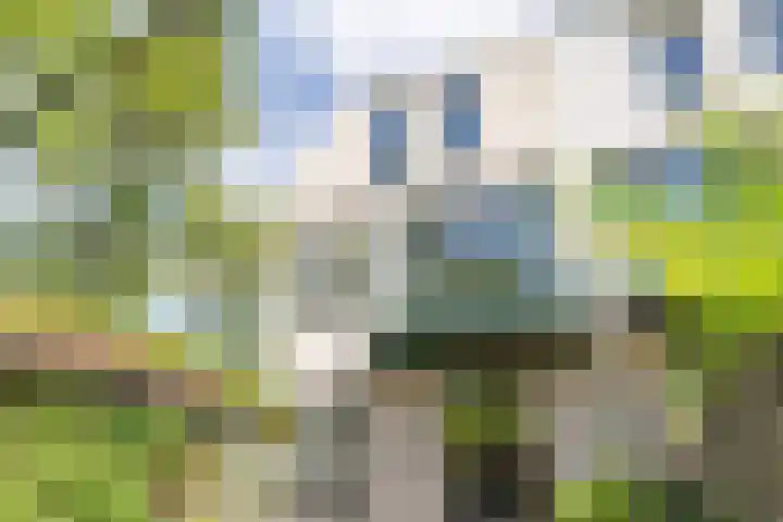 Jaagpad 149 Rijswijk thumbnail 21