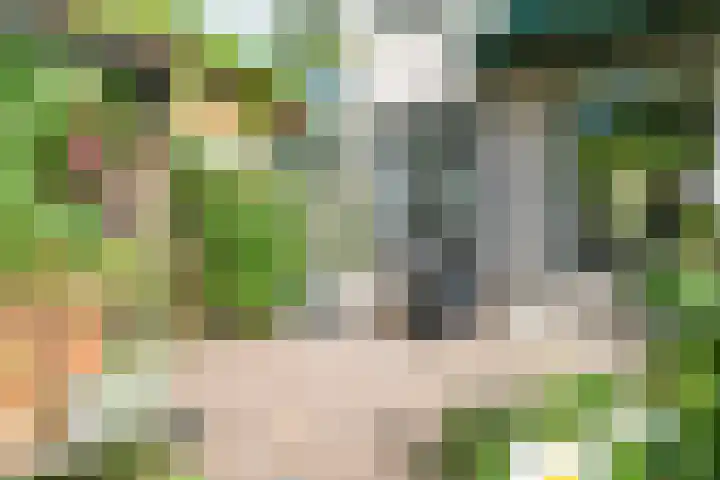 Jaagpad 149 Rijswijk thumbnail 22