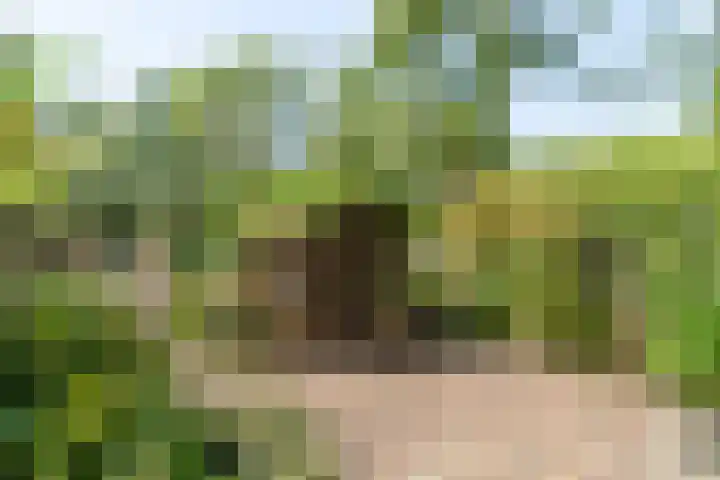 Jaagpad 149 Rijswijk thumbnail 23