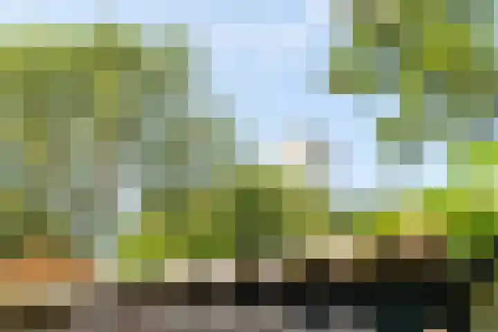 Jaagpad 149 Rijswijk thumbnail 24