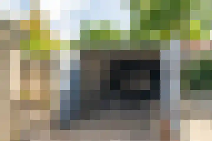 Jaagpad 149 Rijswijk thumbnail 25