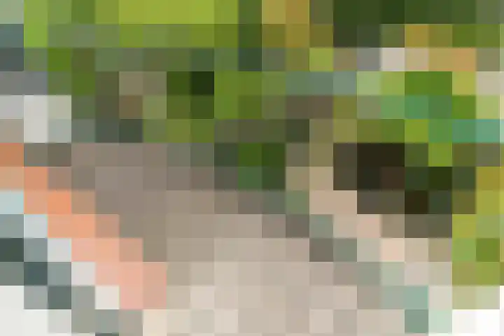 Jaagpad 149 Rijswijk thumbnail 38