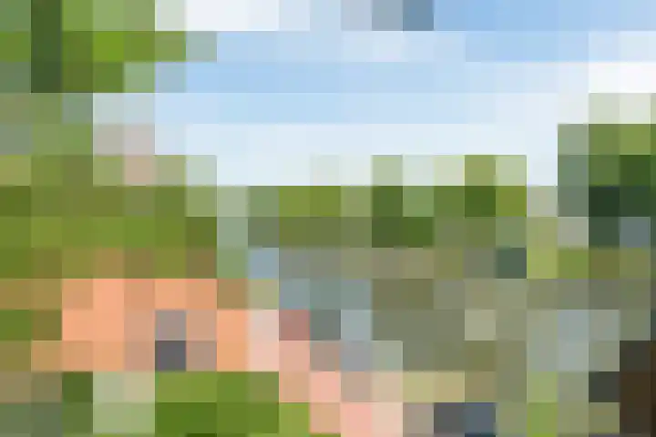 Jaagpad 149 Rijswijk thumbnail 40