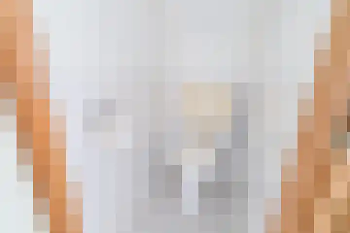 Jaagpad 149 Rijswijk thumbnail 41
