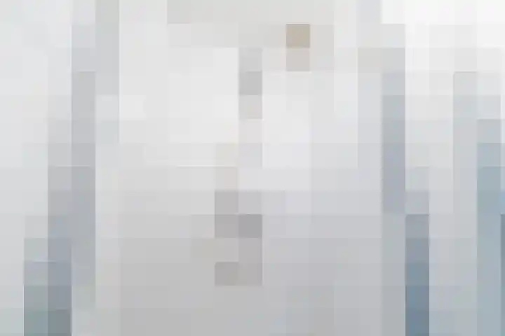 Jaagpad 149 Rijswijk thumbnail 43